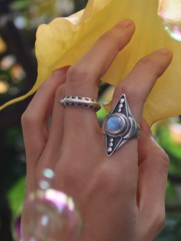 Moonseed Voyager