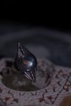 Moonseed Voyager