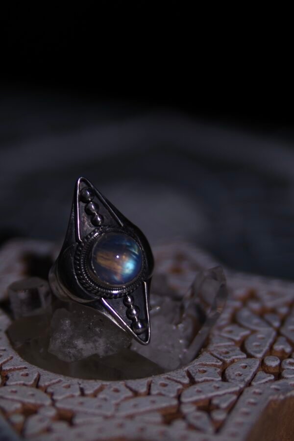 Moonseed Voyager