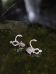 Cosmic Revelry 03 -- nose piercing