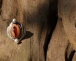 Eye of Sahu