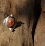 Eye of Sahu