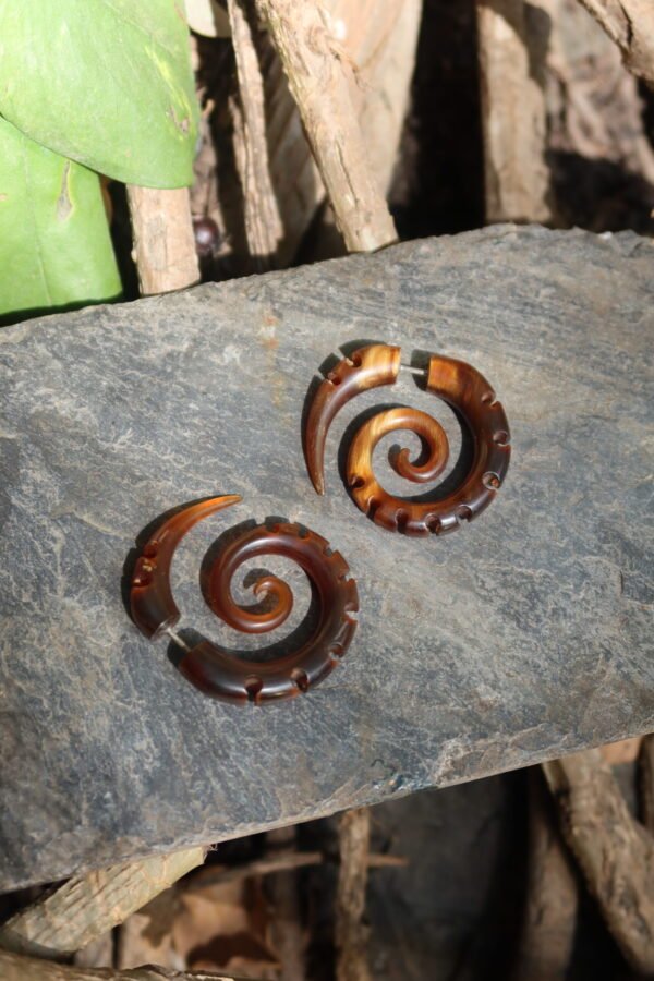 Horn Spiral 03