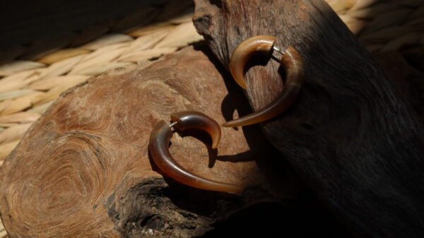 Horn Spiral 04