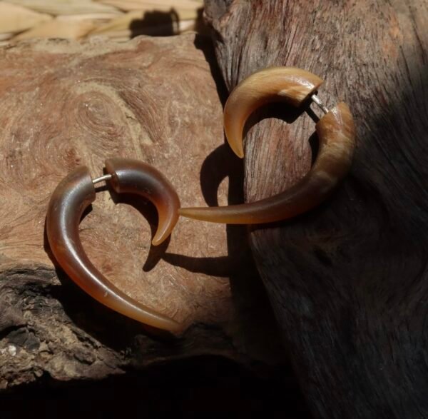 Horn Spiral 04