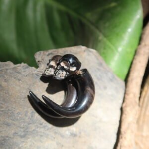 Horn Spiral 05