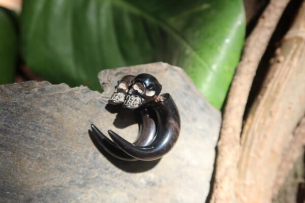 Horn Spiral 05